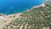 Ravdoucha MIT VIDEO Kreta, Ravdoucha: Premium-Hanggrundstück nahe am Meer mit erteilter Baugenehmigung und traumhaftem Meerblick kaufen